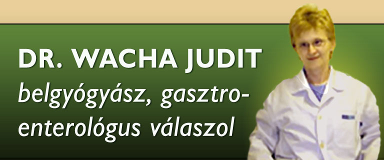 dr. Wacha Judit